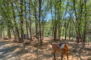 12896 Rices Crossing Rd, Oregon House, CA 95962 - Photo 57