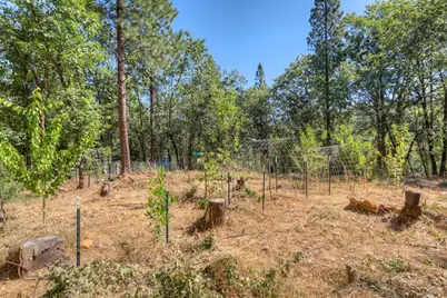 12896 Rices Crossing Road, Oregon House, CA 95962 - Photo 55
