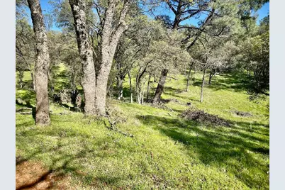 790 Los Verjeles Road, Bangor, CA 95901 - Photo 73