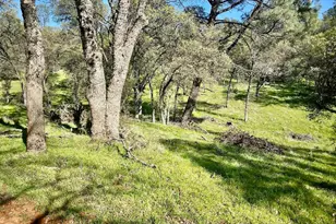 790 Los Verjeles Rd, Bangor, CA 95901 - Photo 73