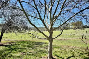 790 Los Verjeles Rd, Bangor, CA 95901 - Photo 83