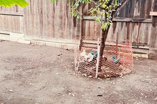 1117 Glenmohr Ct, Stockton, CA 95206 - Photo 45