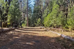 16136 Countrywood Ln, Nevada City, CA 95959 - Photo 1