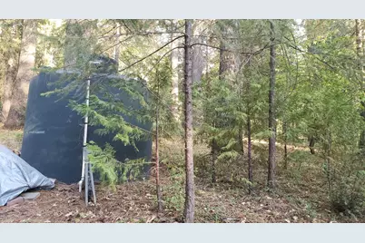 16136 Countrywood Lane, Nevada City, CA 95959 - Photo 9