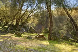 5045 Free Fox Ln, Placerville, CA 95667 - Photo 57