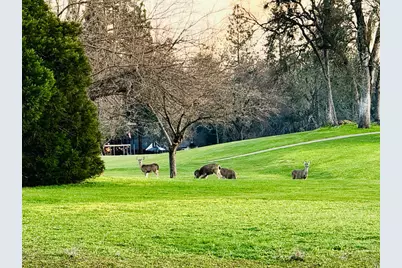 18854 Chickadee Court, Penn Valley, CA 95946 - Photo 89