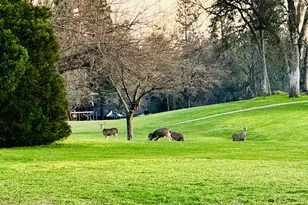 18854 Chickadee Ct, Penn Valley, CA 95946 - Photo 89