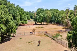 8685 River Rd, Sacramento, CA 95832 - Photo 15