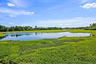 8685 River Rd, Sacramento, CA 95832 - Photo 87