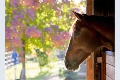 8685 River Road, Sacramento, CA 95832 - Photo 85