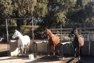 8685 River Rd, Sacramento, CA 95832 - Photo 17