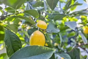 226 W Clay St, Stockton, CA 95206 - Photo 33