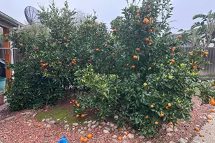 1530 Kinser, Ceres, CA 95307 - Photo 27