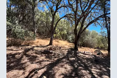 1749 Pinto Road, Angels Camp, CA 95222 - Photo 9
