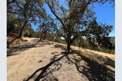 1749 Pinto Road, Angels Camp, CA 95222 - Photo 17