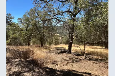 1749 Pinto Road, Angels Camp, CA 95222 - Photo 21