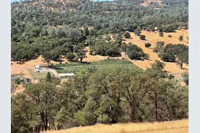 1749 Pinto Road, Angels Camp, CA 95222 - Photo 1