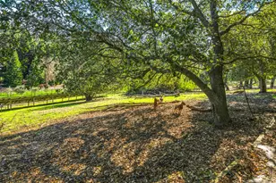 834 Carter Acres Ln, Martinez, CA 94553 - Photo 85