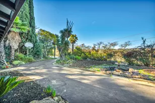 834 Carter Acres Ln, Martinez, CA 94553 - Photo 47