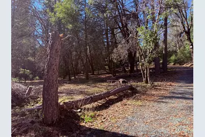 16621 Greenhorn Road, Grass Valley, CA 95945 - Photo 7