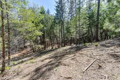 2000 Ponderosa Way, Weimar, CA 95713 - Photo 21