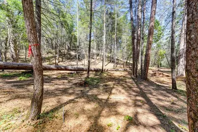 2000 Ponderosa Way, Weimar, CA 95713 - Photo 13