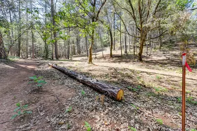 2000 Ponderosa Way, Weimar, CA 95713 - Photo 9