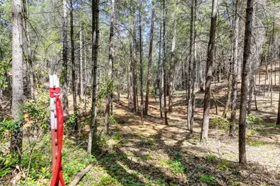 2000 Ponderosa Way, Weimar, CA 95713 - Photo 15