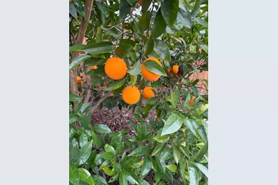 4102 Windrose Drive, Turlock, CA 95382 - Photo 41