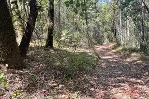 0 Broken Springs, Oroville, CA 95966 - Photo 1