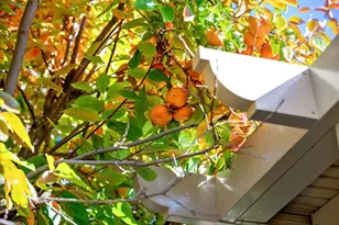 3350 Marina Cove Cir, Elk Grove, CA 95758 - Photo 37