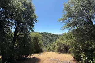 4600 Rocky Bar Rd, Wilseyville, CA 95257 - Photo 19