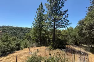 4600 Rocky Bar Rd, Wilseyville, CA 95257 - Photo 17