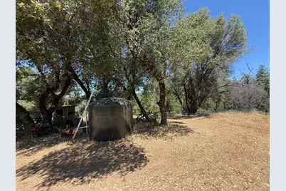 4600 Rocky Bar Rd, Wilseyville, CA 95257 - Photo 21