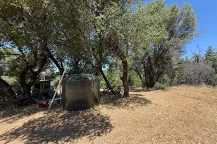 4600 Rocky Bar Rd, Wilseyville, CA 95257 - Photo 21