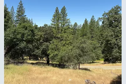4600 Rocky Bar Rd, Wilseyville, CA 95257 - Photo 11