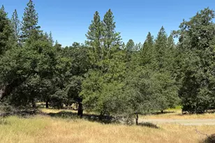 4600 Rocky Bar Rd, Wilseyville, CA 95257 - Photo 11