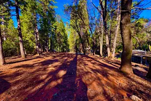 Reservoir Rd, Georgetown, CA 95634 - Photo 7