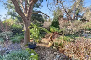 1749 Haggin Grove Way, Carmichael, CA 95608 - Photo 83