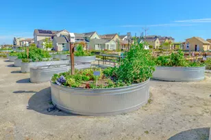 2248 Cannery Loop, Davis, CA 95616 - Photo 49