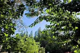 Candy Ln, Grass Valley, CA 95945 - Photo 25