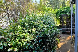 Candy Ln, Grass Valley, CA 95945 - Photo 23