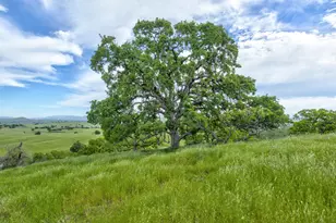 1985 White Rock Rd, Le Grand, CA 95333 - Photo 95