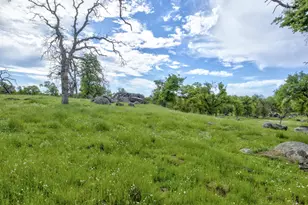 1985 White Rock Rd, Le Grand, CA 95333 - Photo 91