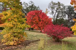 6705 Ravine Ct, Newcastle, CA 95658 - Photo 15