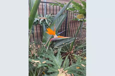 135 Nevada Avenue, Roseville, CA 95678 - Photo 45