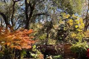 135 Nevada Ave, Roseville, CA 95678 - Photo 43