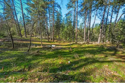 12056 N Bloomfield Road, Nevada City, CA 95959 - Photo 33
