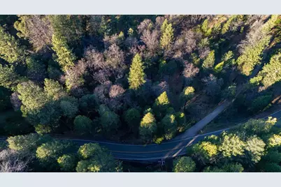 12056 N Bloomfield Road, Nevada City, CA 95959 - Photo 57