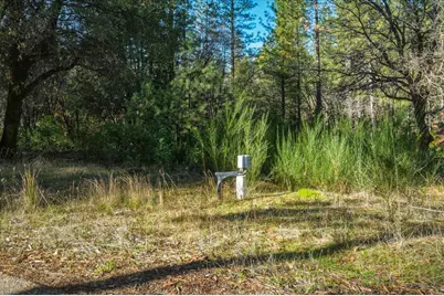 12056 N Bloomfield Road, Nevada City, CA 95959 - Photo 45